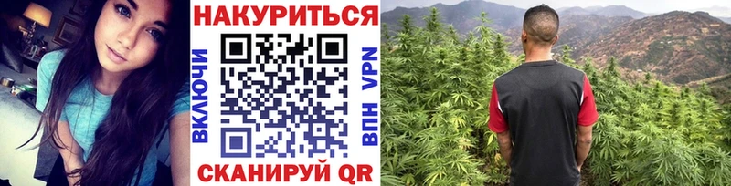 Что такое Новая Ладога МЕГА сайт  Альфа ПВП  МЕФ  Канабис  ГАШ 